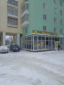 Gorkogo Street, 35, Tver: photo