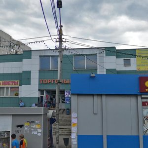 Pushkinskaya Street, No:2, Şçerbinka: Fotoğraflar