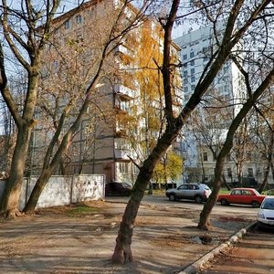 Arsenalna Street, 20, Kyiv: photo