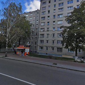 Sviatoshynska vulytsia, No:38, Vishnevoye: Fotoğraflar