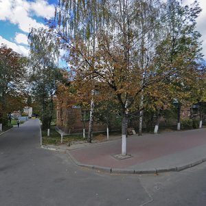 Sviatoshynska vulytsia, No:39, Vishnevoye: Fotoğraflar