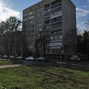 Sviatoslava Khorobroho Street, 4А ، كييف: صورة