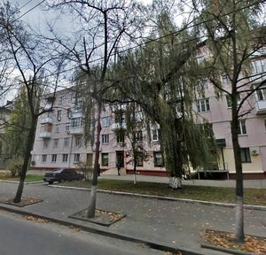 Vyshhorodska Street, 48, Kyiv: photo