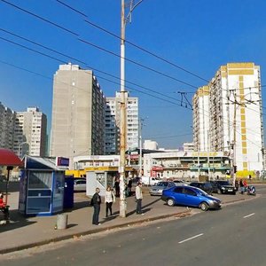 Liskivska Street, 12/1, Kyiv: photo