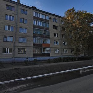 Tsentralna vulytsia, 55, : foto