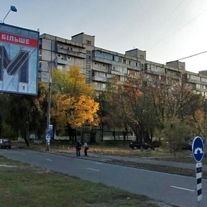 Berezniakivska Street, 4, Kyiv: photo