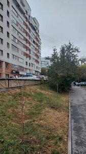 Schyorsa Street, 24/1, : foto