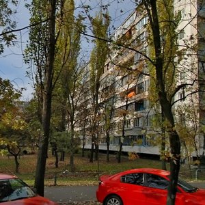 Entuziastiv Street, 23, Kyiv: photo