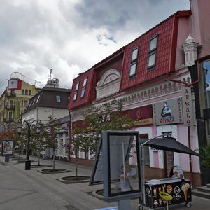 Leningradskaya pedestrian Street, 31, Samara: photo