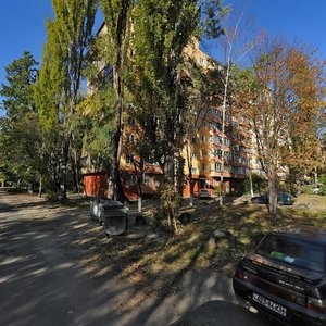 Borschahivska Street, 139-141, Kyiv: photo