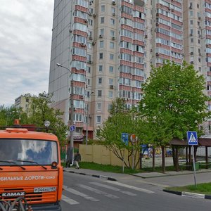 Akademika Artsimovicha Street, 17, Moscow: photo