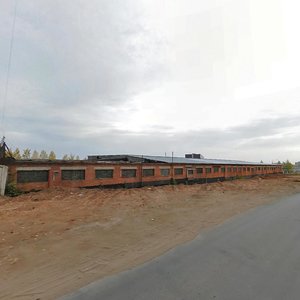 Salyutovskaya Street, 45, Izhevsk: photo