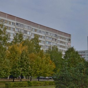 Khasana Tufana Avenue, 38 ، نابريجني تشيلني: صورة
