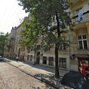 Hlyboka vulytsia, 8, Lviv: photo