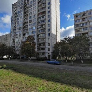 Marshala Rokosovskoho Avenue, 6, Kyiv: photo