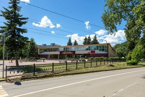 Khiminstituta Village, 31, Tver: photo