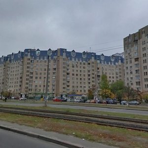 Anny Akhmatovoi Street, 5, Kyiv: photo