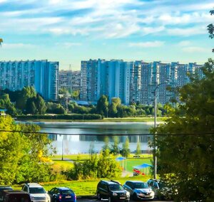 Москва, Улица Борисовские Пруды, 38: фото