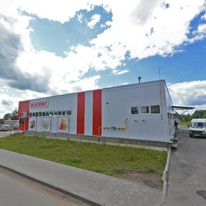 Nekhinskaya Street, 40, Veliky Novgorod: photo