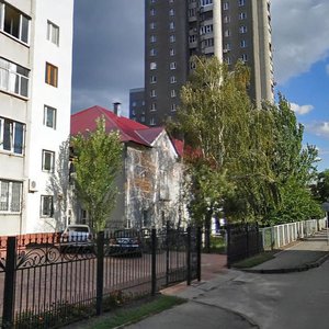 Heorhiia Toropovskoho Street, 39 ، كييف: صورة