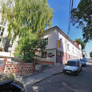 Vulytsia Sichovykh Striltsiv, 8 ، : صورة