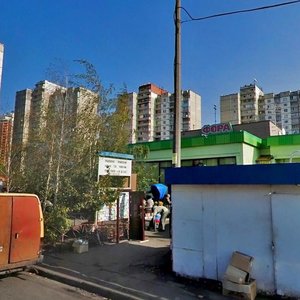 Onore De Balzaka Street, 66, Kyiv: photo