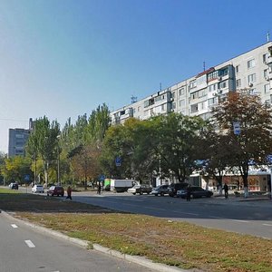 Borodynska vulytsia, 5, Zaporizhia: photo