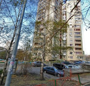 Panasa Myrnoho Street, 27, Kyiv: photo