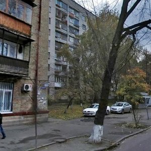 Vvedenska Street, 26, Kyiv: photo