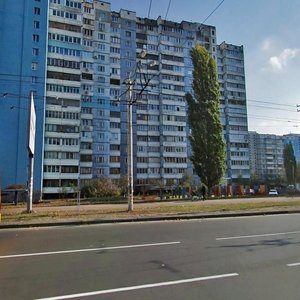 Serzha Lyfaria Street, 7/36, Kyiv: photo