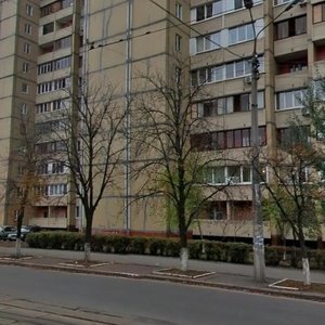 Yaltynska Street, 15, Kyiv: photo