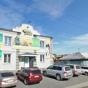 Gogolya Street, 144, Barnaul: photo