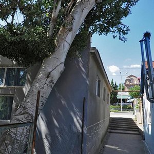 Baglikova Street, 8А ، : صورة