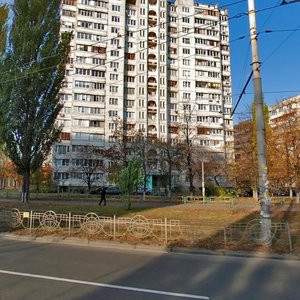 Heroiv Dnipra Street, 9, Kyiv: photo