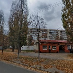 Vasylia Kasiiana Street, 10Б, Kyiv: photo