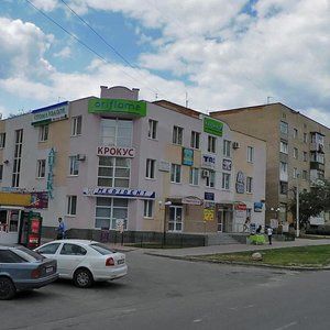 Vulytsia Voiniv-Internatsionalistiv, 14А, Vinnytsia: photo