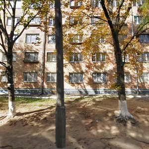 Mykoly Raievskoho Street, 23А, Kyiv: photo