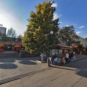 Moskovskaya Street, 60, Penza: photo