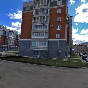 Privolzhskiy Boulevard, 4, Cheboksary: photo