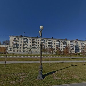 Admirala Serebryakova Embankment, 25, : foto