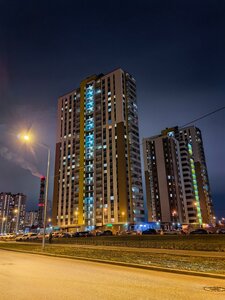 Vasnetsovskiy Avenue, 22, Saint Petersburg: photo