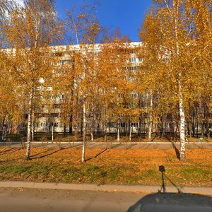 Novosyolov Street, 25, Ryazan: photo