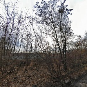Pirogova Street, 4 ، ريازان: صورة