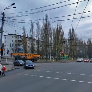 Ivana Vyhovskoho Street, 18, Kyiv: photo