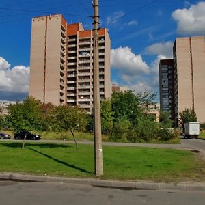 Bukharestskaya Street, 150, : foto