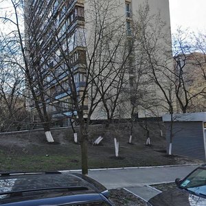 Velyka Vasylkivska Street, 124, Kyiv: photo