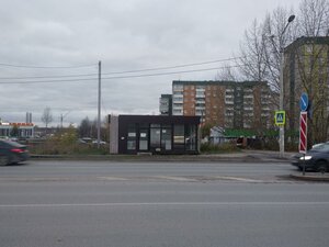 Tselinnaya Street, 31А, Perm: photo
