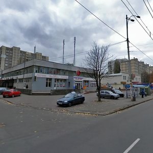 Yakuba Kolasa Street, 10 ، كييف: صورة
