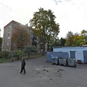 Oleha Olzhycha Street, 7А, Kyiv: photo