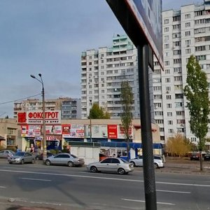 Revutskoho Street, 33, Kyiv: photo